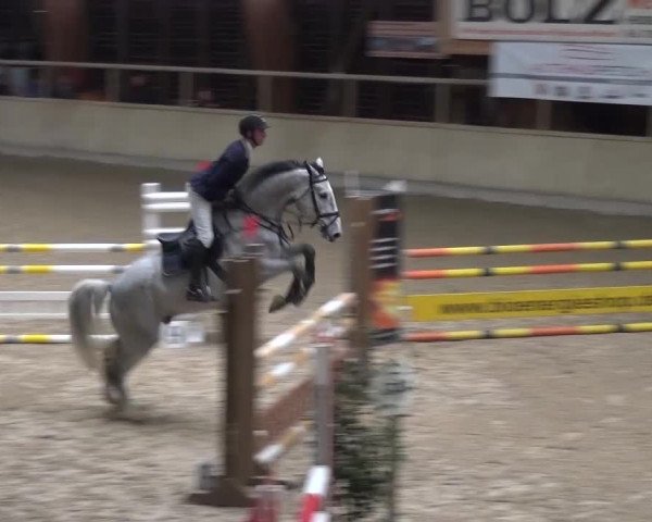 Reitturnier Heidelberg-Kirchheim 2016