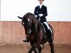 dressage horse Renaldo TS (unknown,  )