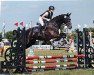 dressage horse F³rst Figo (Hanoverian, 2010, from Fürst Nymphenburg)