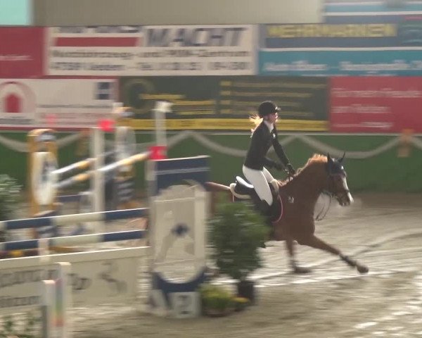Keppelner Springfestival 2016