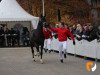 stallion French Open (Westphalian, 2017, from Franziskus FRH)