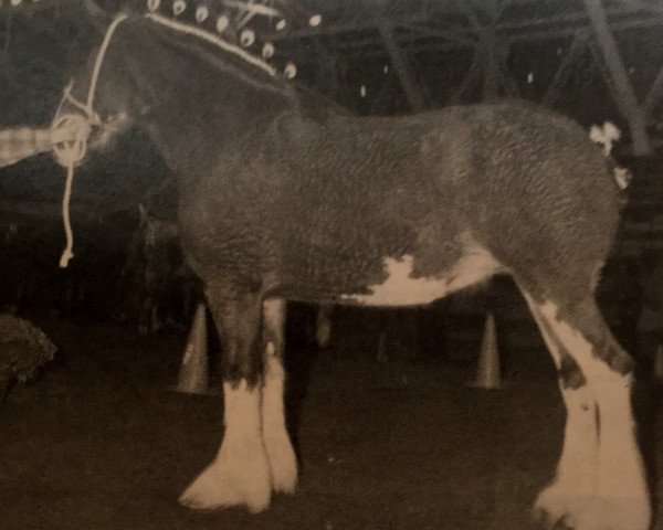 broodmare CIE Louise (Clydesdale, 1995, from CIE Perfection)