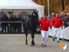 stallion Emidor Z (Zangersheide riding horse, 2017, from Emerald van 't Ruytershof)