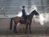 jumper Roxy 212 (Oldenburg show jumper, 2013, from Rodrigo)