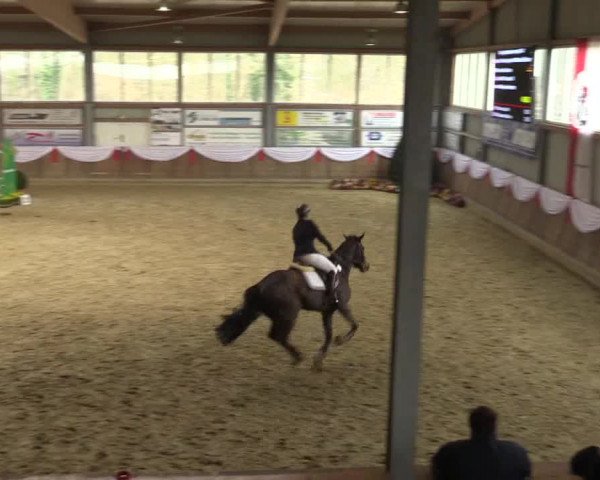 Reitturnier Goch 2016