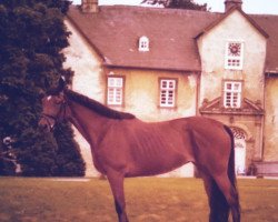 broodmare Nanna xx (Thoroughbred, 1968, from Fontanus xx)