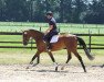 broodmare Katy Perry (Holsteiner, 2017, from For Pleasure)