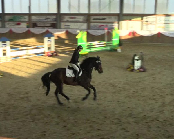 Reitturnier Goch 2016