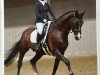 dressage horse RSB Dryander (Oldenburg, 2004, from Donnerschwee)