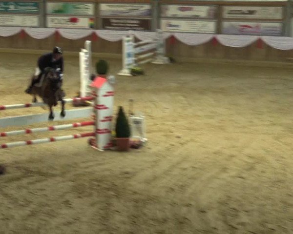 Reitturnier Goch 2016
