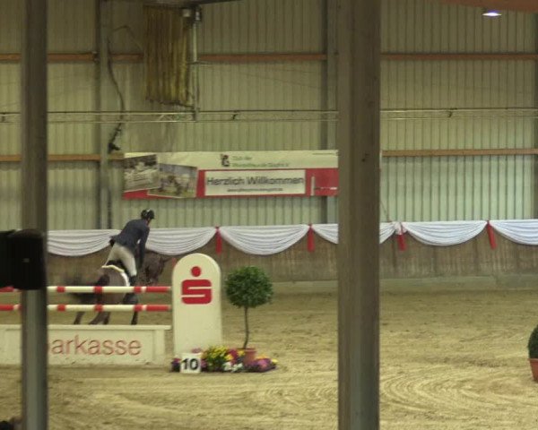 Reitturnier Goch 2016