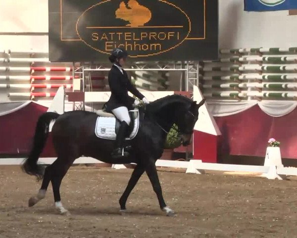 Dressurturnier Eicherloh - Laurent 2016