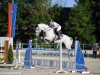 jumper Cassiocay HG (Oldenburg show jumper, 2011, from Califax)