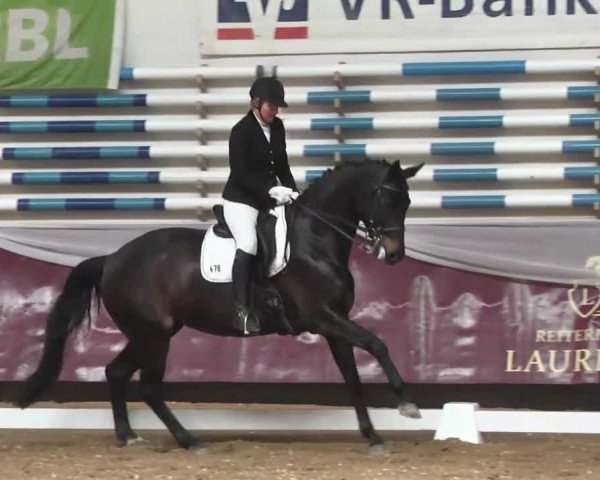Dressurturnier Eicherloh - Laurent 2016