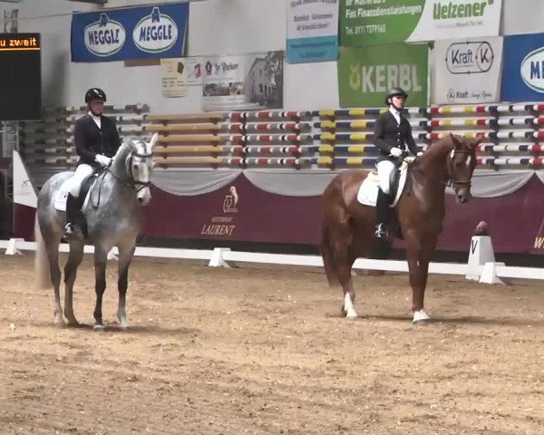 Dressurturnier Eicherloh - Laurent 2016