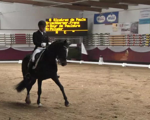Dressurturnier Eicherloh - Laurent 2016