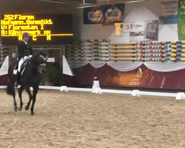 Dressurturnier Eicherloh - Laurent 2016