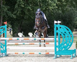 stallion Toulago 3 (Hanoverian, 2015, from Toulon)