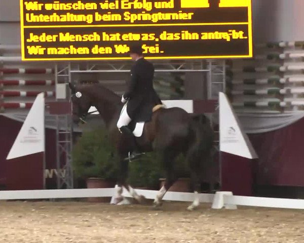 Dressurturnier Eicherloh - Laurent 2016