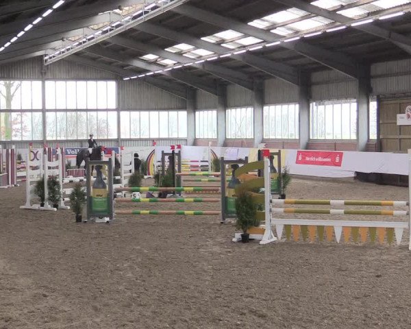Hallenspringturnier Greven 2016