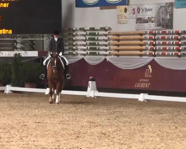 Dressurturnier Eicherloh - Laurent 2016
