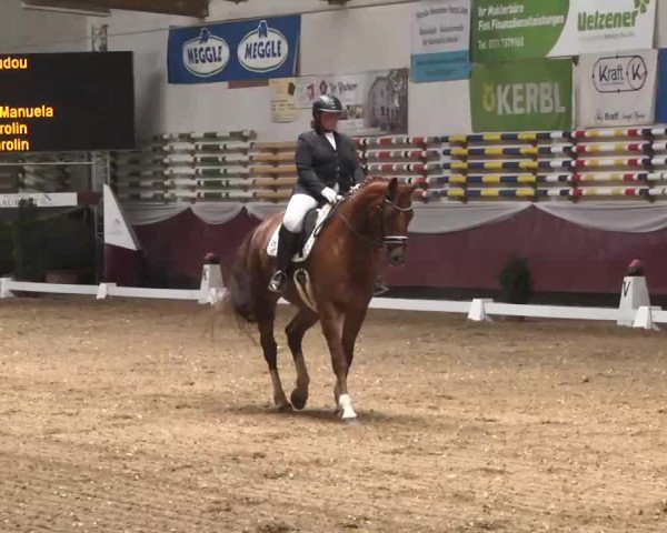 Dressurturnier Eicherloh - Laurent 2016