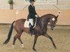 dressage horse Ranjana H (Westphalian, 2010, from Rock Forever NRW)