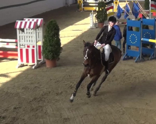 Reitturnier Monheim - Gut Blee 2016