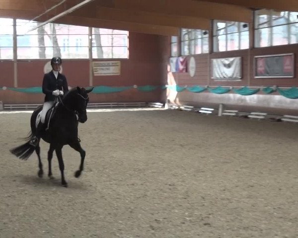EQUIVA Dressur-Gala 2016