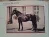 stallion Valdano Mo 1576 (Heavy Warmblood, 1986, from Vasall Mo 1283)