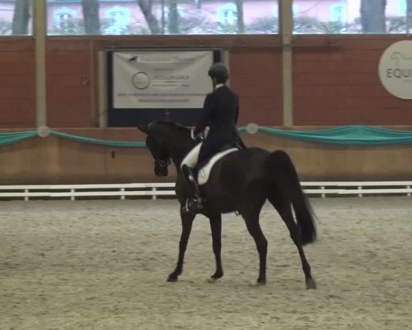 EQUIVA Dressur-Gala 2016