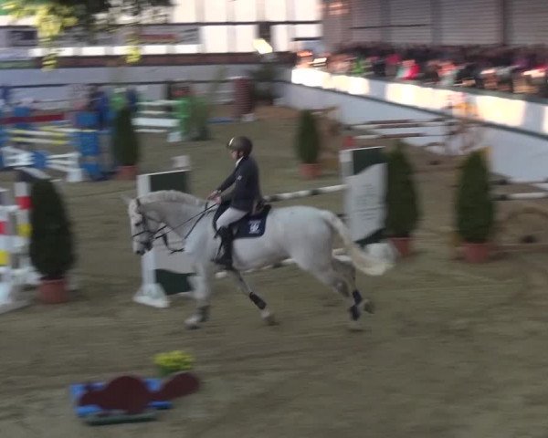 Reitturnier Monheim - Gut Blee 2016