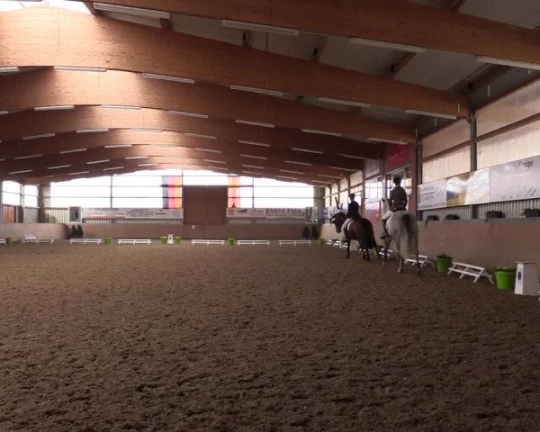 Reitturnier Altenberge 2016