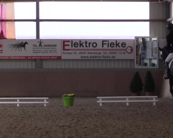 Reitturnier Altenberge 2016