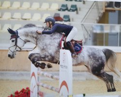 jumper Image Magnifique (Austrian Warmblood, 2011, from Le Balou 3)