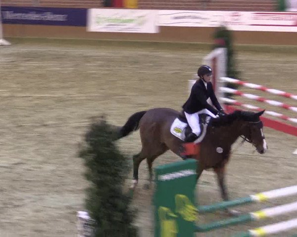Rosendorf Classics 2016 Seppenrade