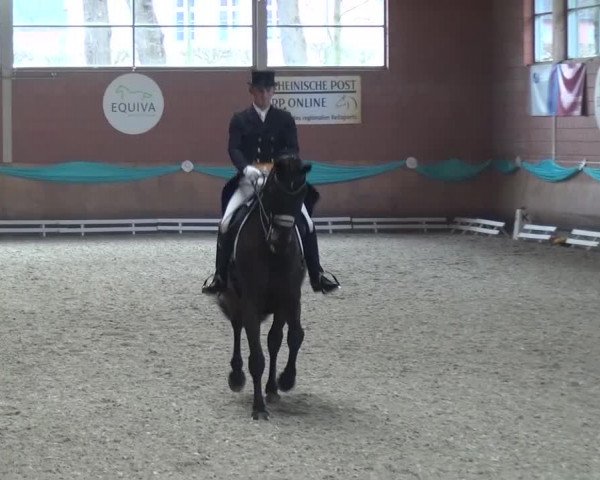 EQUIVA Dressur-Gala 2016