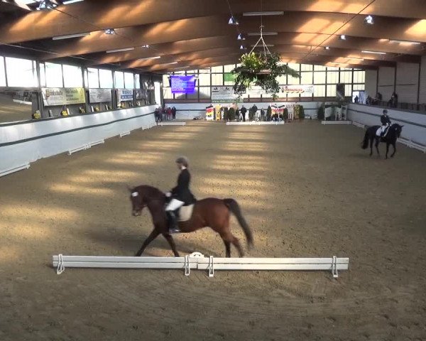 Reitturnier Monheim - Gut Blee 2016