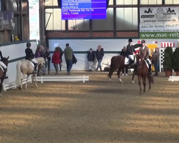 Reitturnier Monheim - Gut Blee 2016
