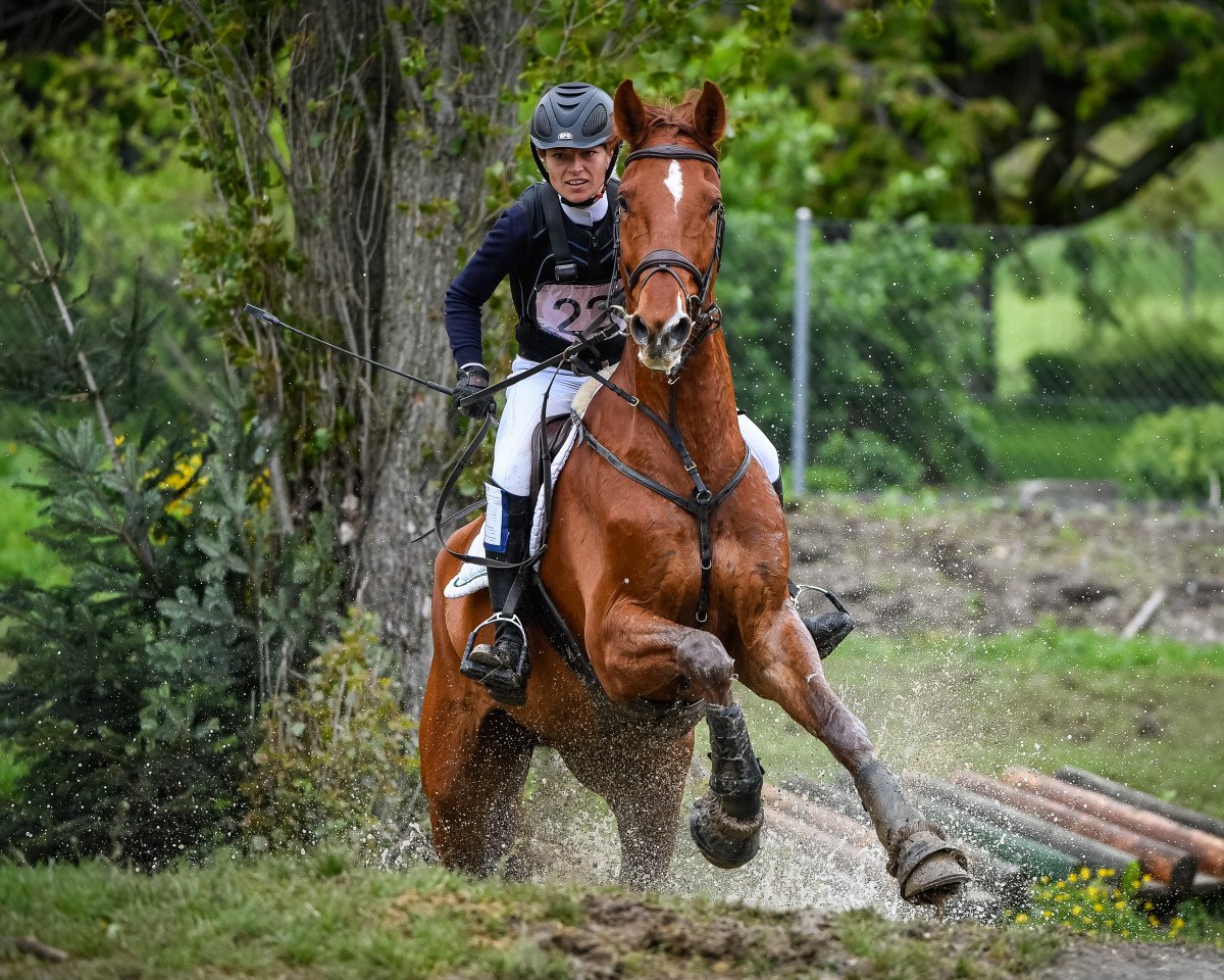 jumper Caravaggio III (Württemberger, 2011, from Coronino)