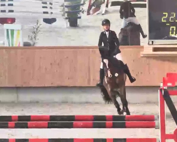 Reitturnier Illertissen 2016