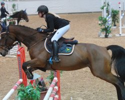 jumper Lizzy 106 (Oldenburg show jumper, 2014, from Lord Pizarro)