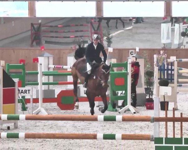 Reitturnier Illertissen 2016