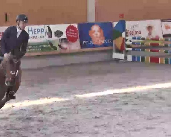 Reitturnier Illertissen 2016
