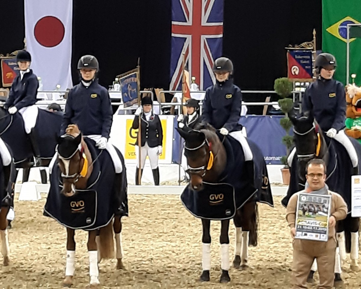 Zuchtstute Chicago Hope 2 (Deutsches Reitpony, 2013, von Dallas 51)