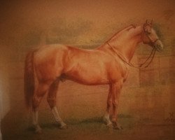 stallion Artos (Hanoverian, 1979, from Argentan I)