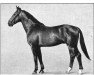 stallion Fontane 1727 (Hanoverian, 1934, from Flimmer II)