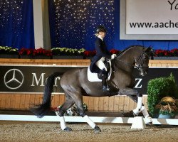 dressage horse Schattentänzer 5 (German Sport Horse, 2009, from San Amour I)