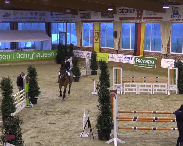 Rosendorf Classics 2016 Seppenrade
