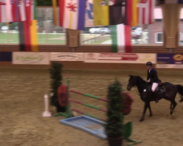 Rosendorf Classics 2016 Seppenrade